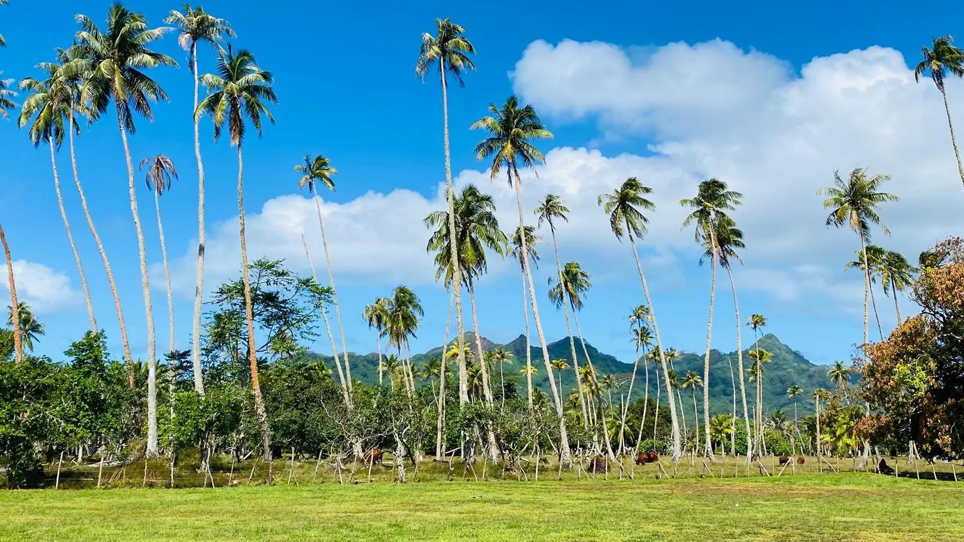 Huahine Serenity Cottage Maroe Polynésie française