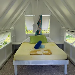 Alaroots Fakarava